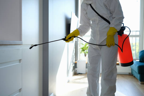 Best Residential Mold Remediation in Rosamond, CA