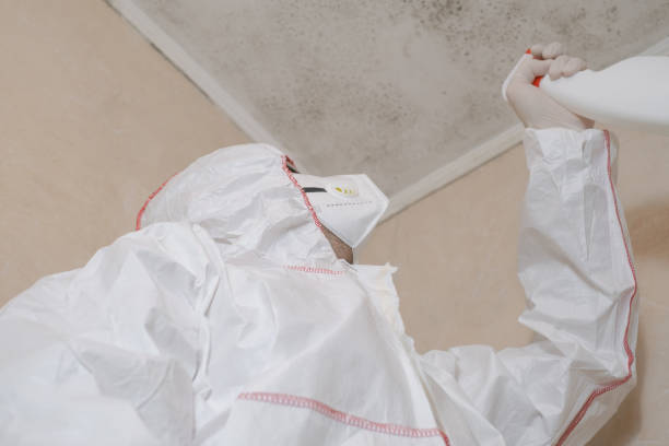 Best Industrial Mold Remediation in Rosamond, CA